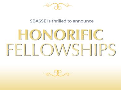SBASSE Introduces New Fellowship Programme for Undergraduates 